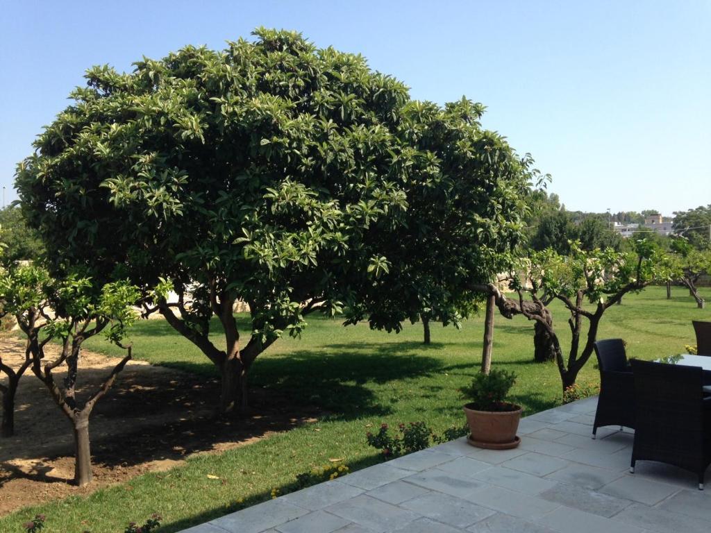 Masseria Carignani 툴리에 외부 사진
